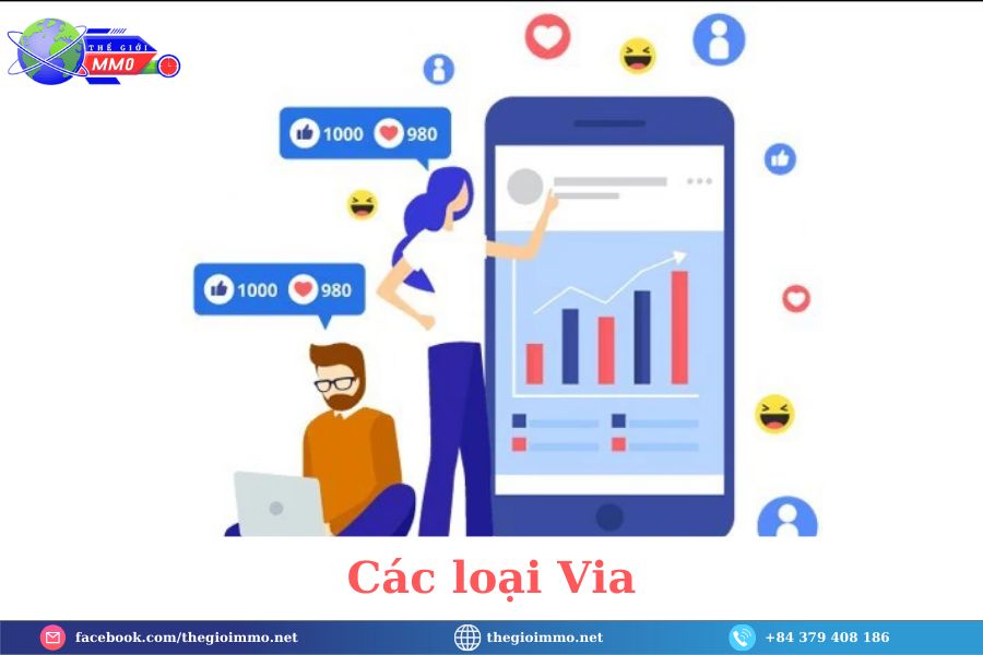 Các loại via 1 Cac loai Via 1