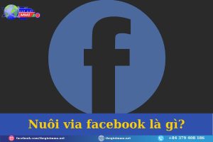 Nuoi via facebook la gi 2