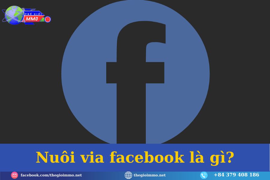 Nuoi via facebook la gi 2