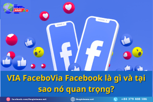 Via Facebook la gi va tai sao no quan trong 1