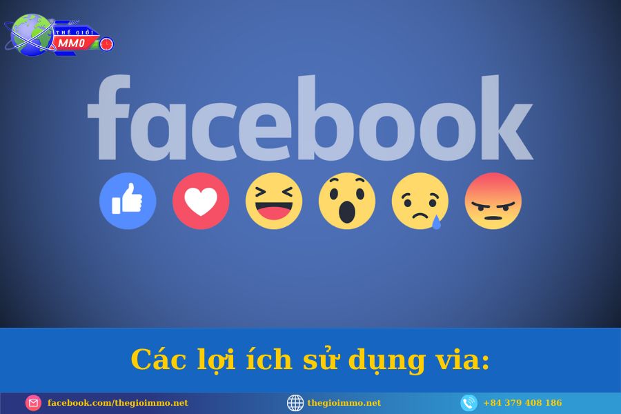 Cách mua via? lưu ý khi mua via 4 Cac loi ich su dung via compressed