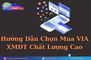Hướng Dẫn Chọn Mua VIA XMDT Chất Lượng Cao
