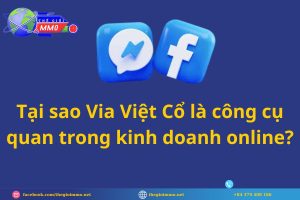Tại sao Via Việt Cổ là công cụ quan trong kinh doanh online