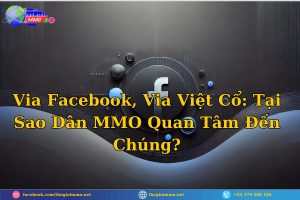 Via Facebook, Via Việt Cổ Tại Sao Dân MMO Quan Tâm Đến Chúng