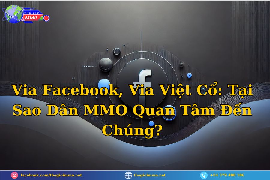 Via Facebook, Via Việt Cổ Tại Sao Dân MMO Quan Tâm Đến Chúng