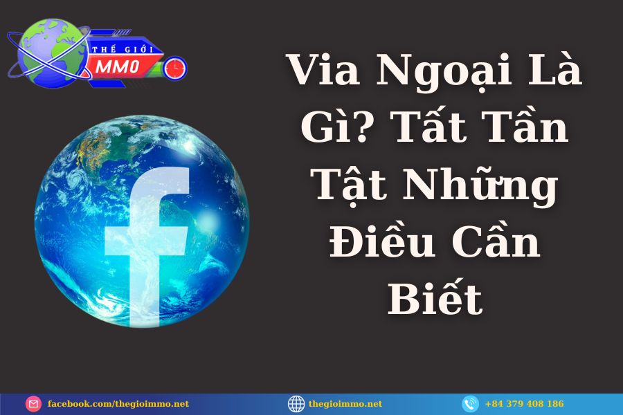 Via Ngoại Là Gì Tất Tần Tật Những Điều Cần Biết