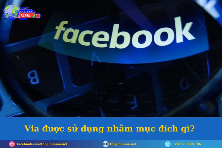 5 loại Via Facebook thường dùng 2 Via duoc su dung nham muc dich gi compressed